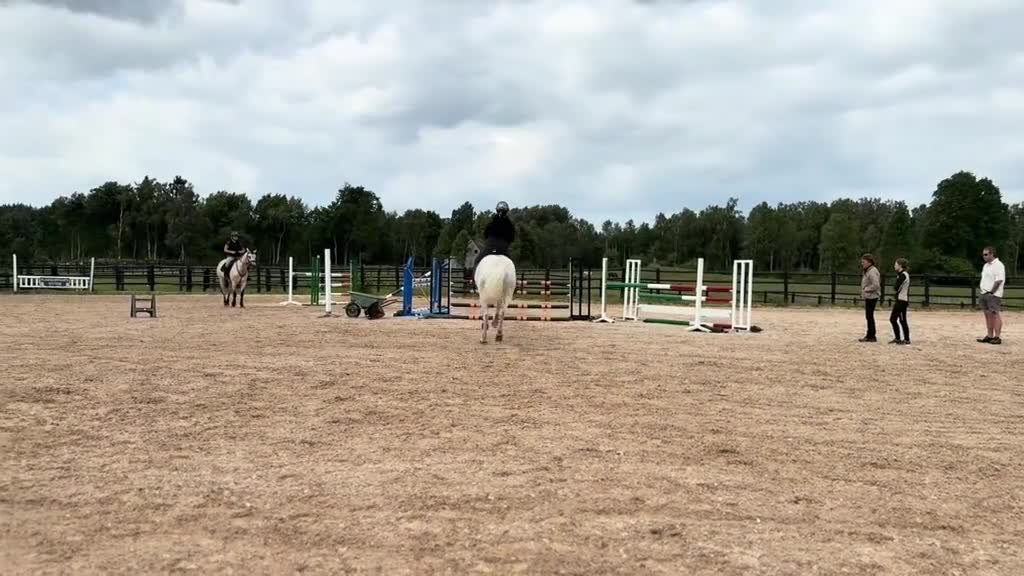 Hoppning hästar till salu: 🌸Drömponny🌸 - Video 1