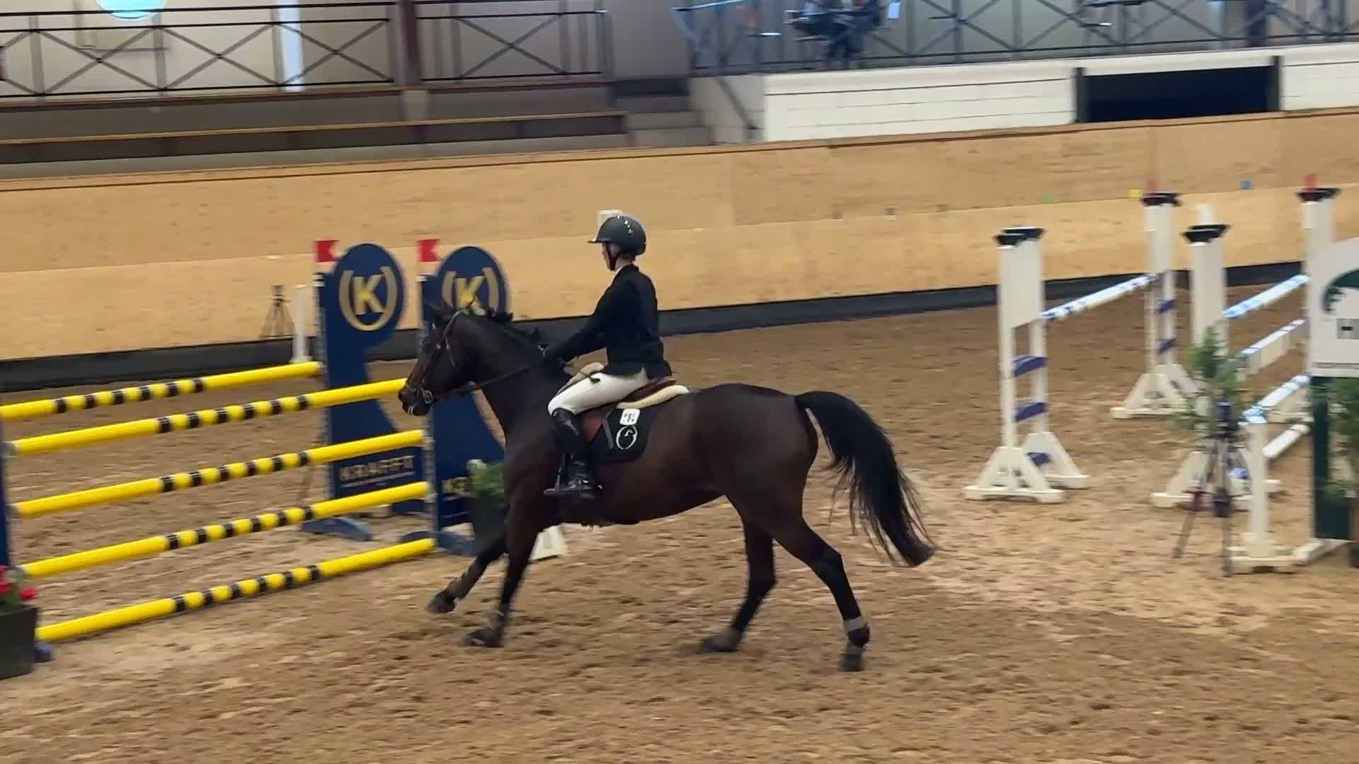  hästservice finnes: UTBILDNING TRÄNING TÄVLING FÖRSÄLJNING AV DIN 🐴 - Video 1