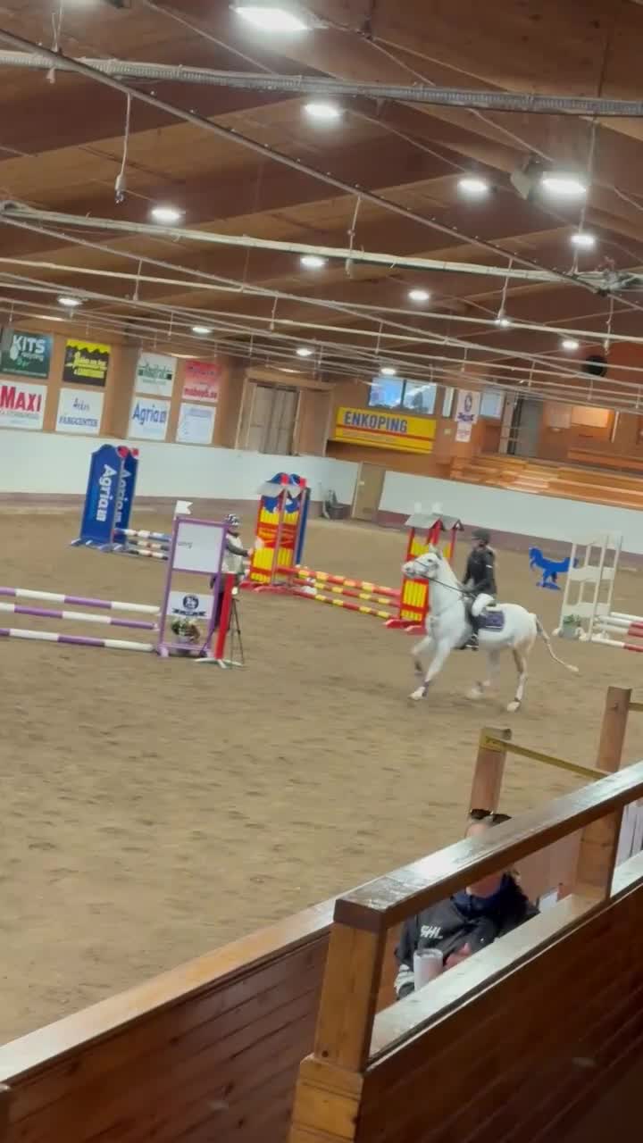 Allround hästar till salu: Perfekt förstaponny! - Video 1