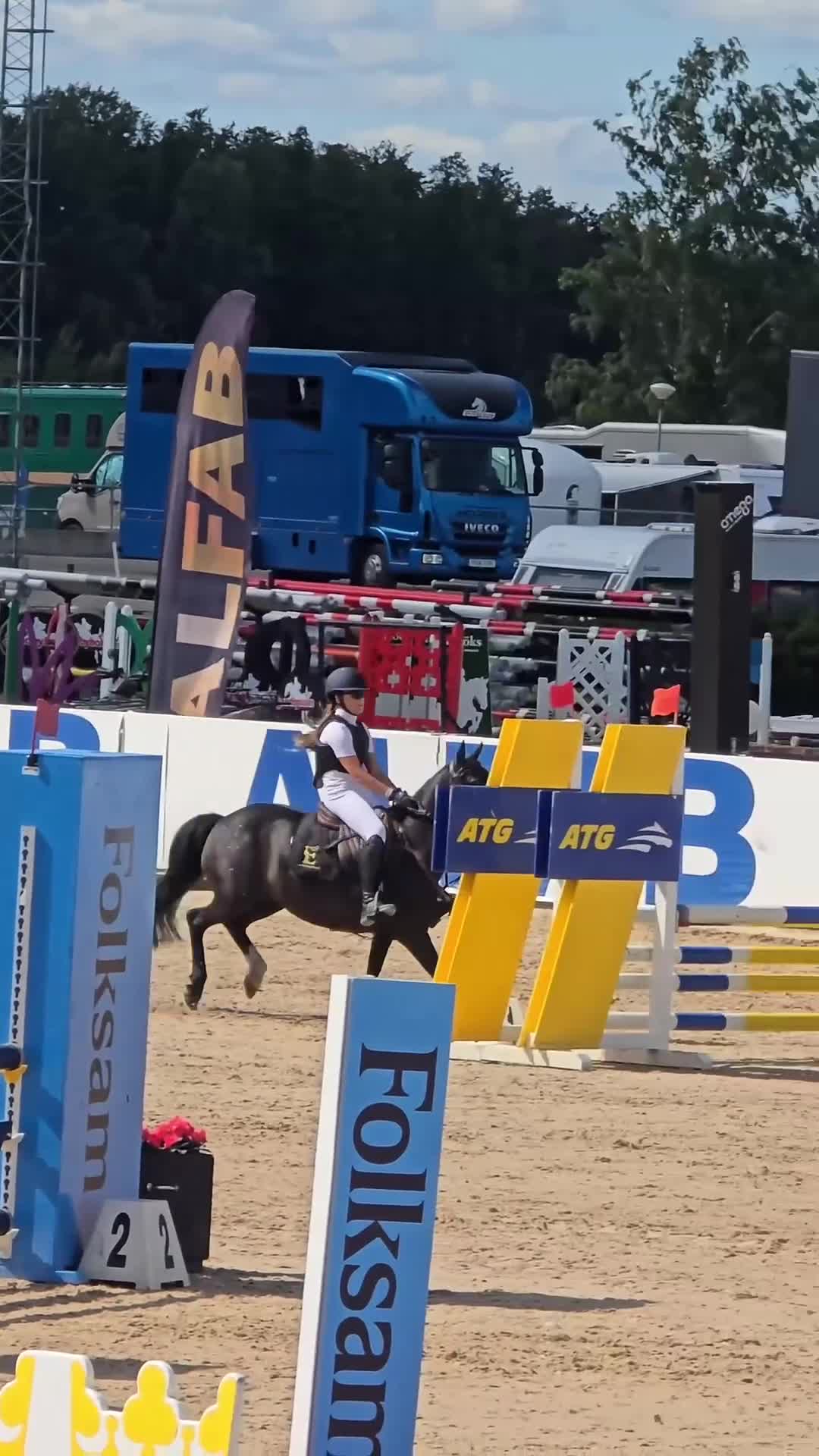 Hoppning hästar till salu: Brons lätt A sm 2026🥉 - Video 2