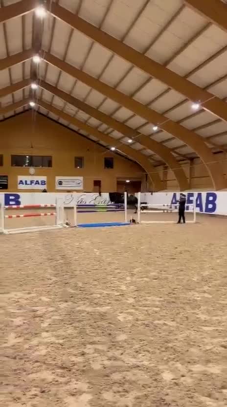 Hoppning hästar till salu: Lovande hopphäst (e. Nintender) - Video 4