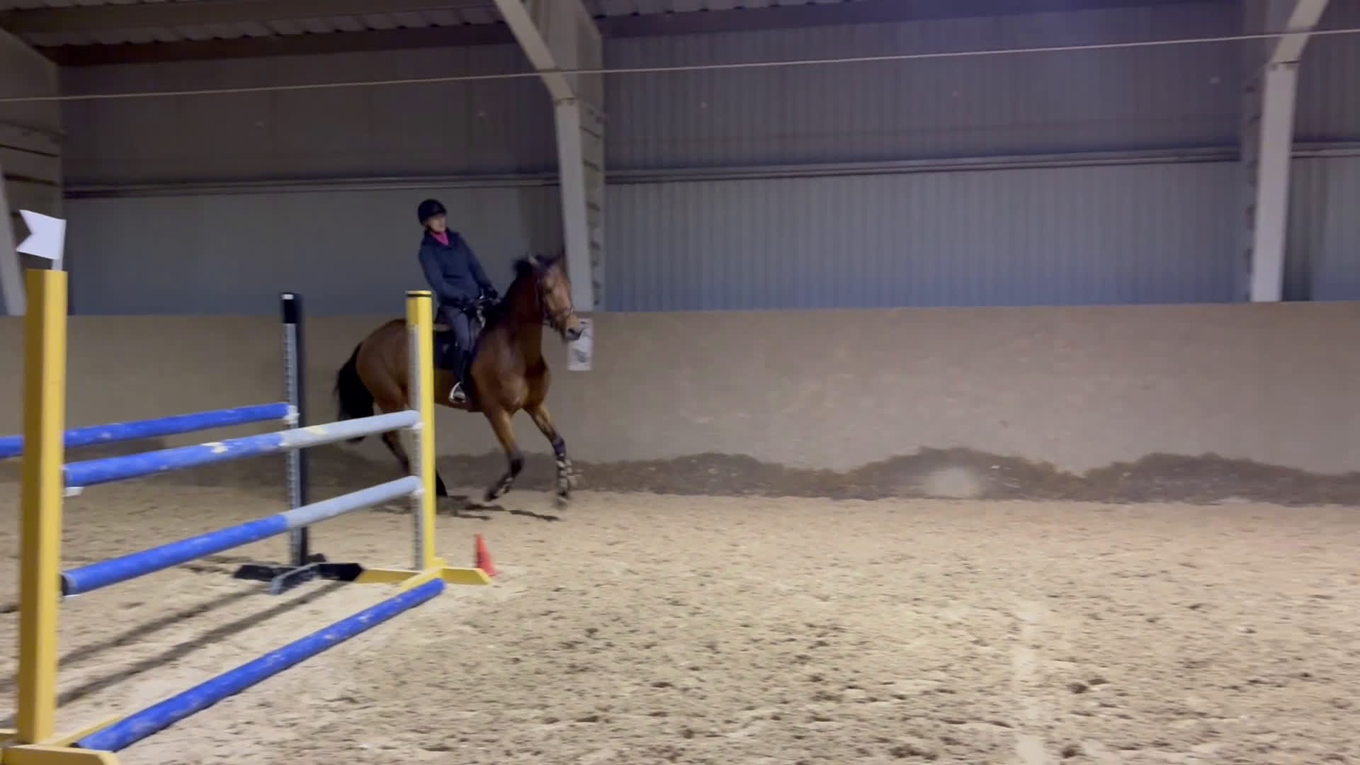 Hoppning hästar till salu: Svårklasshäst i Eldsberga - Video 1