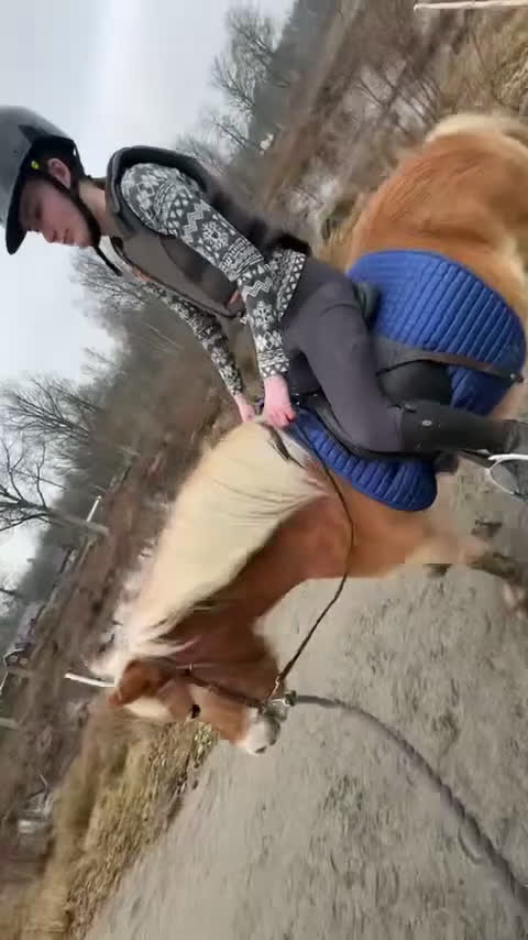 Allround hästar till salu: Pigg och känslig russvalack - Video 2