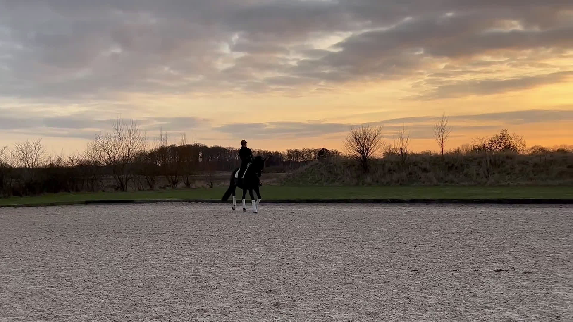 Dressyr hästar till salu: Super trevlig läromästare  i Skanör - Video 1