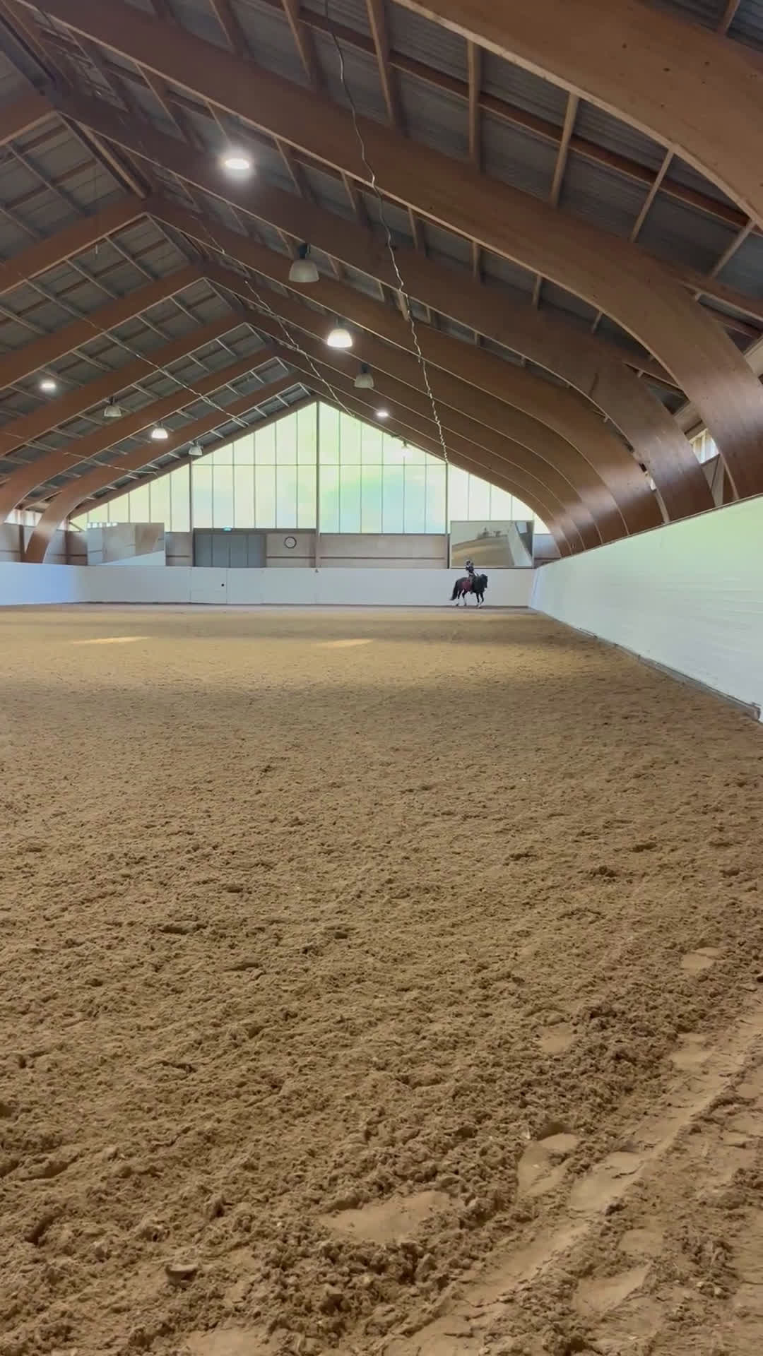 Dressyr hästar till salu: Fantastisk ponny i ”storhästformat” i Saltsjö-duvnäs - Video 3