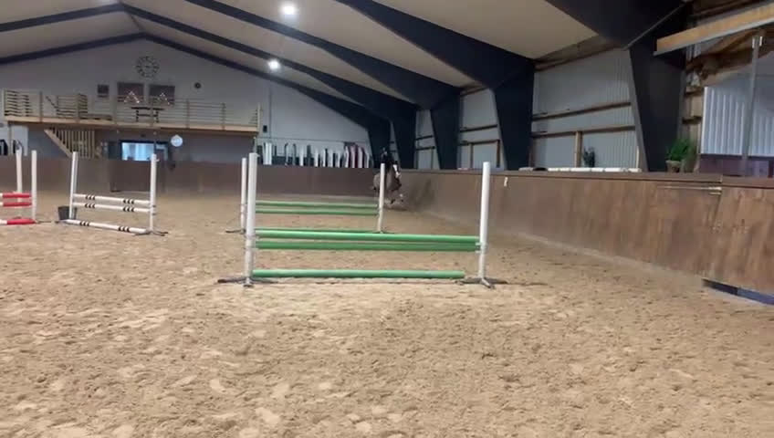 Allround hästar till salu: Trevlig maxad D-ponny! i Laholm - Video 2