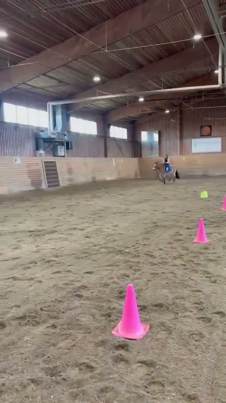 Allround hästar till salu: En bästa kompis🎀 - Video 3