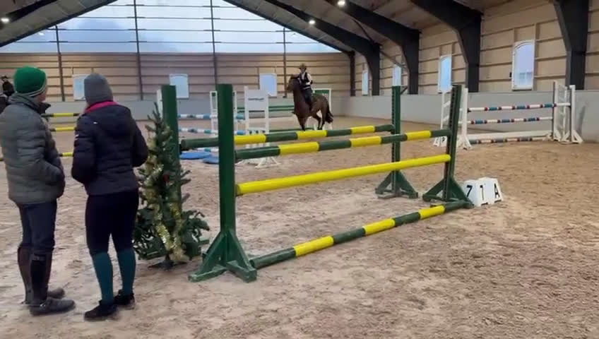 Hoppning hästar till salu: Kapabelt sto med bra karaktär  i Slöinge - Video 4