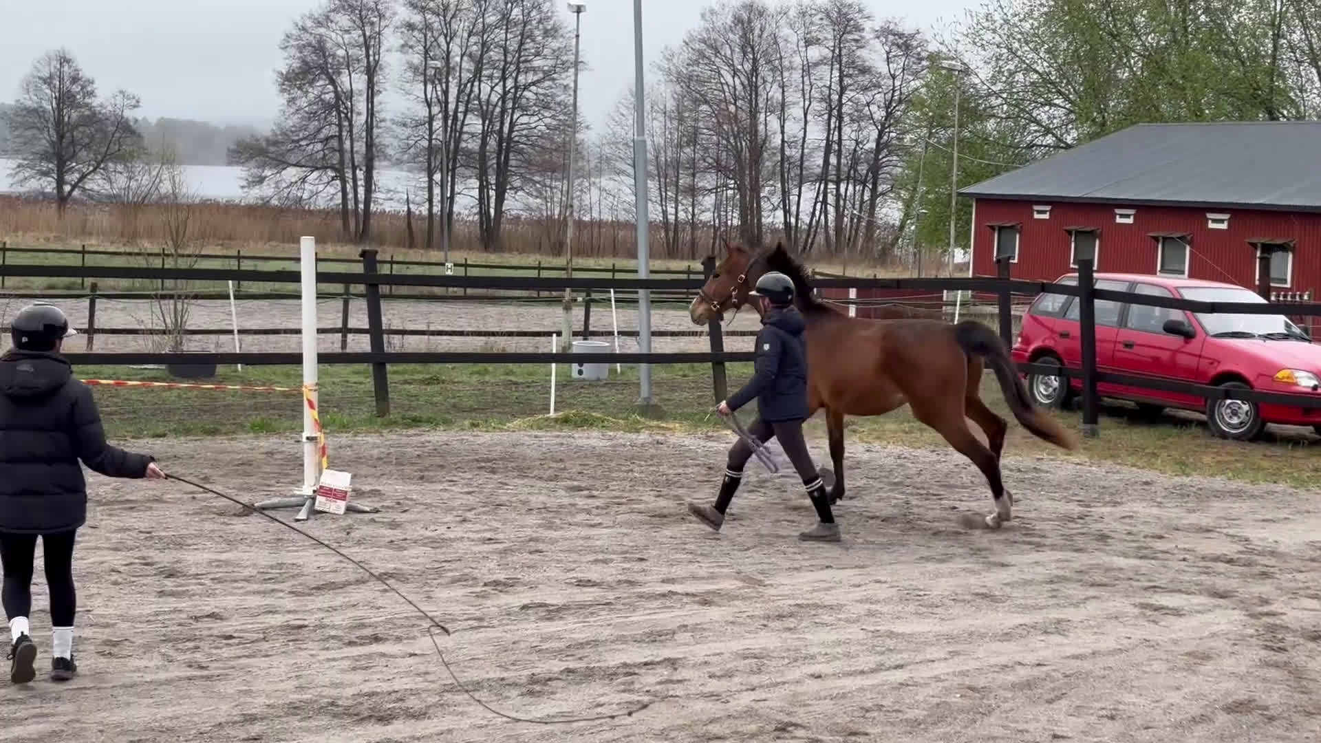 Hoppning hästar till salu: 3-årigt sto e. Glasgow Van't Merelsnest - ChinChin - Video 2