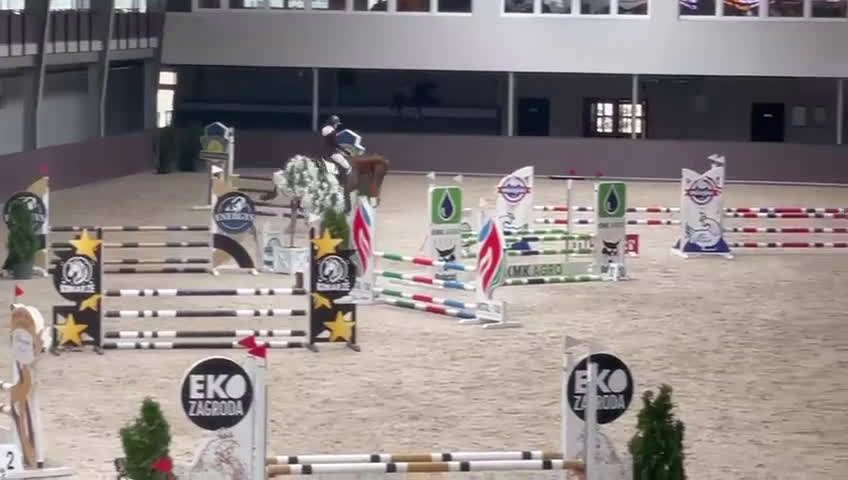 Fälttävlan hästar till salu: Fälttävlans-häst med stor potential - Video 3