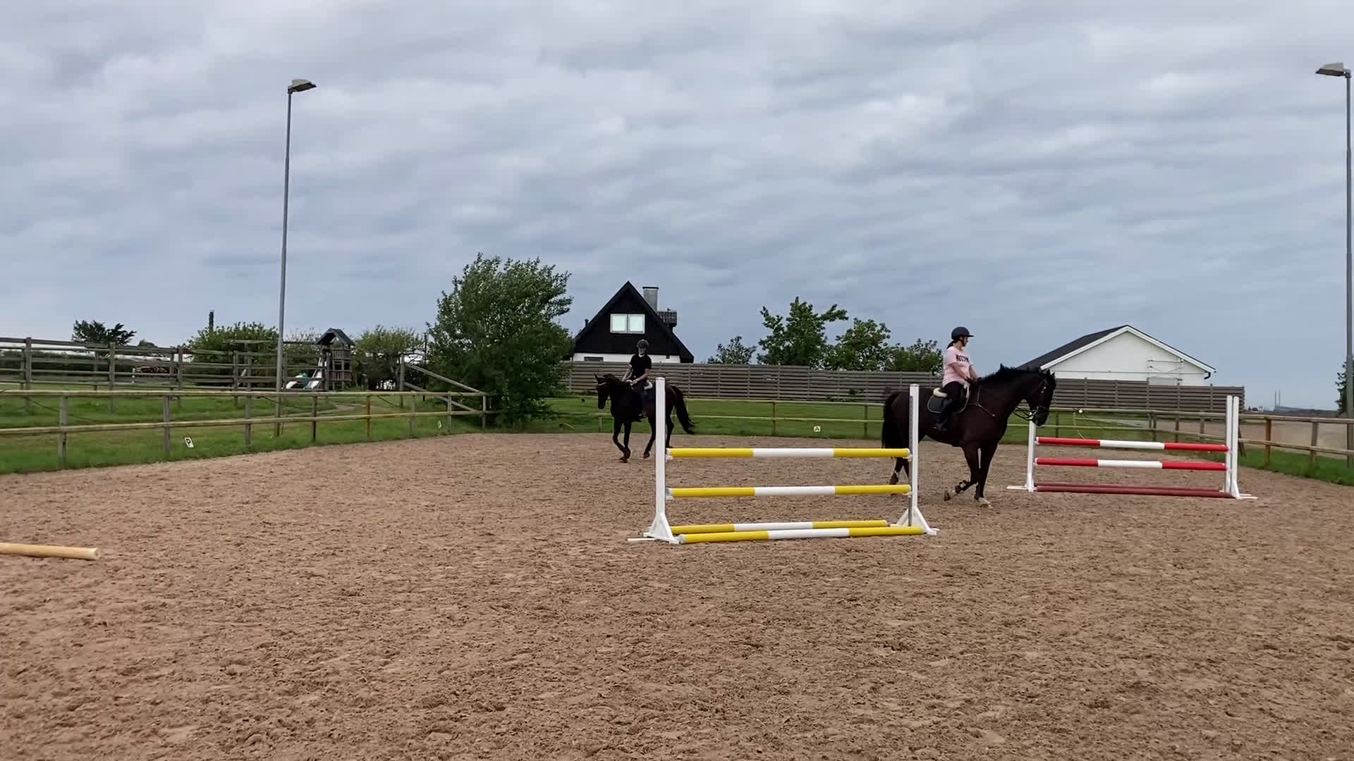 Allround hästar till salu: Fantastisk läromästare i Höör - Video 1