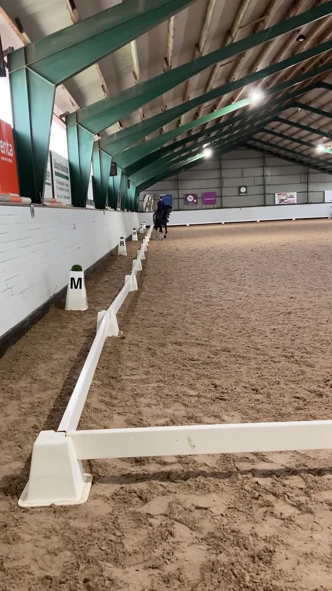 Dressyr hästar till salu: Stilig valack i Jonstorp - Video 4