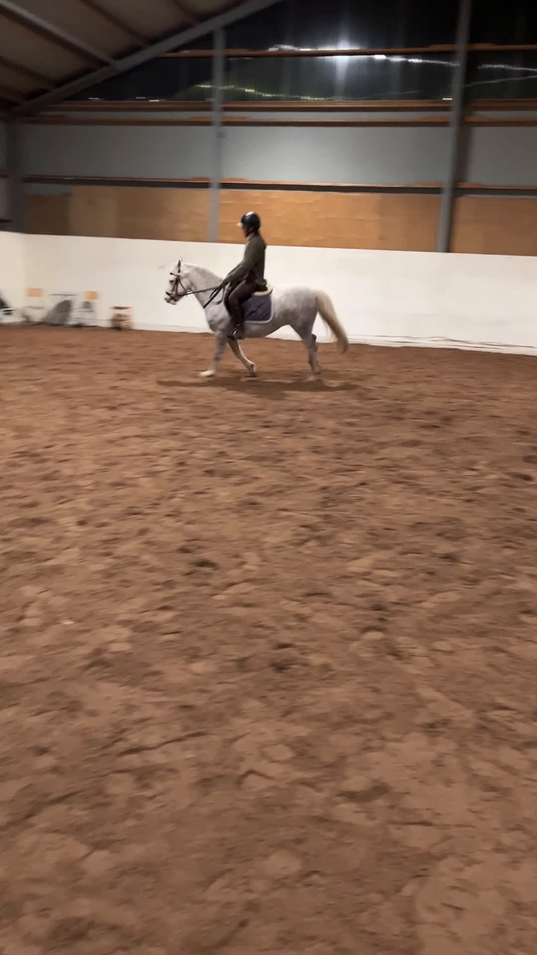 Allround hästar till salu: Vackert Welsh ponnysto  i Lyrestad - Video 4