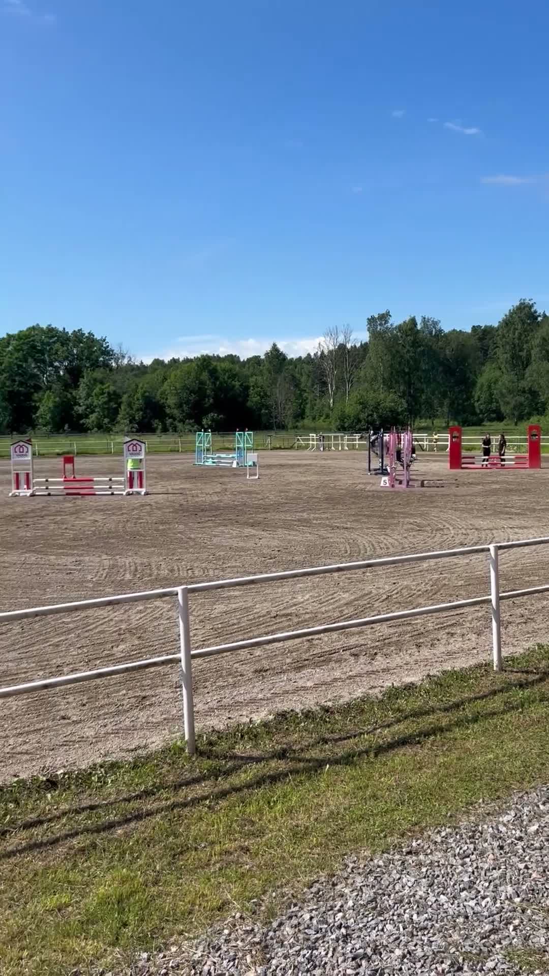 Hoppning hästar till salu: Fin c-ponny! - Video 1