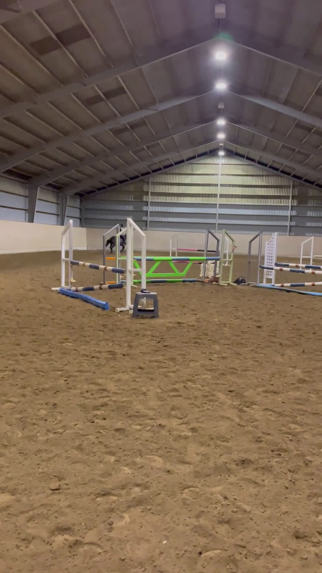 Hoppning hästar till salu: Fantastiskt ponny💫 - Video 5