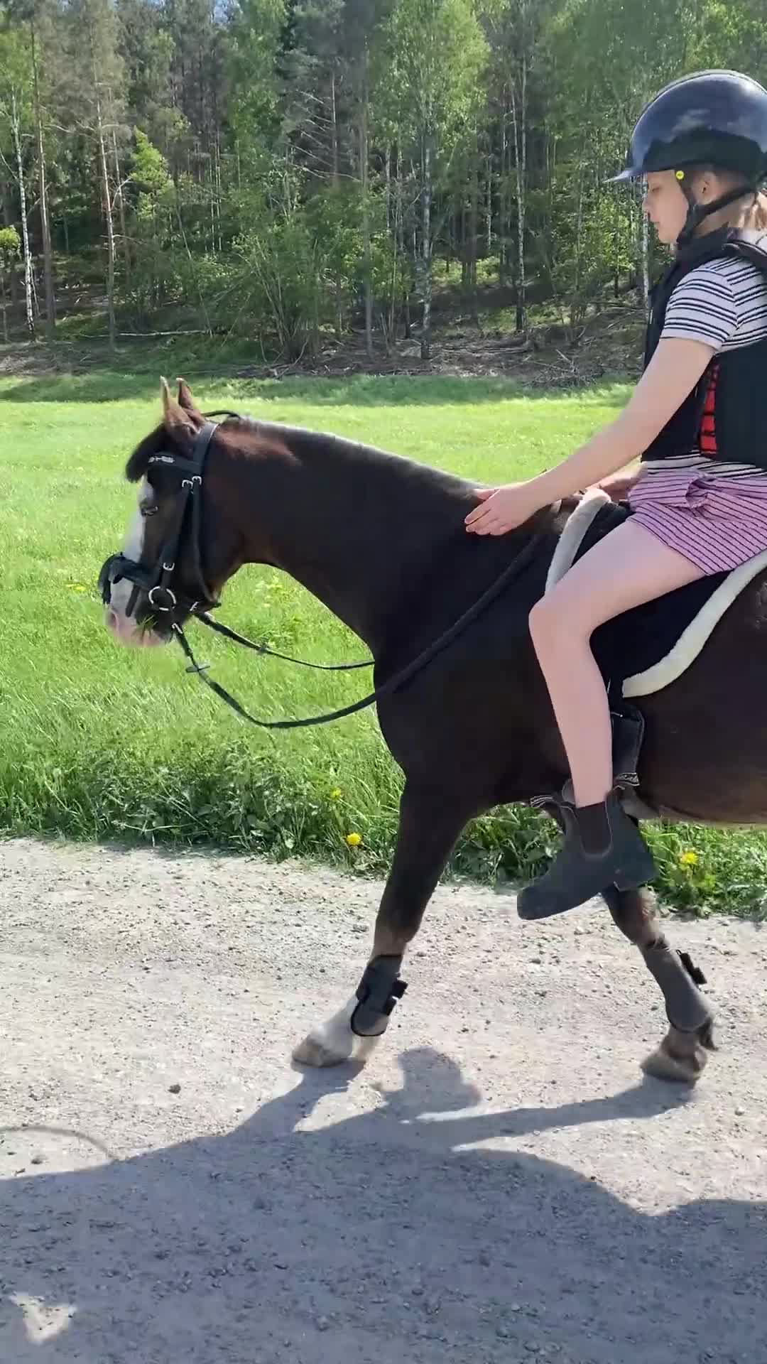 Hoppning hästar till salu: Pigg och genomsnäll ponny - Video 2