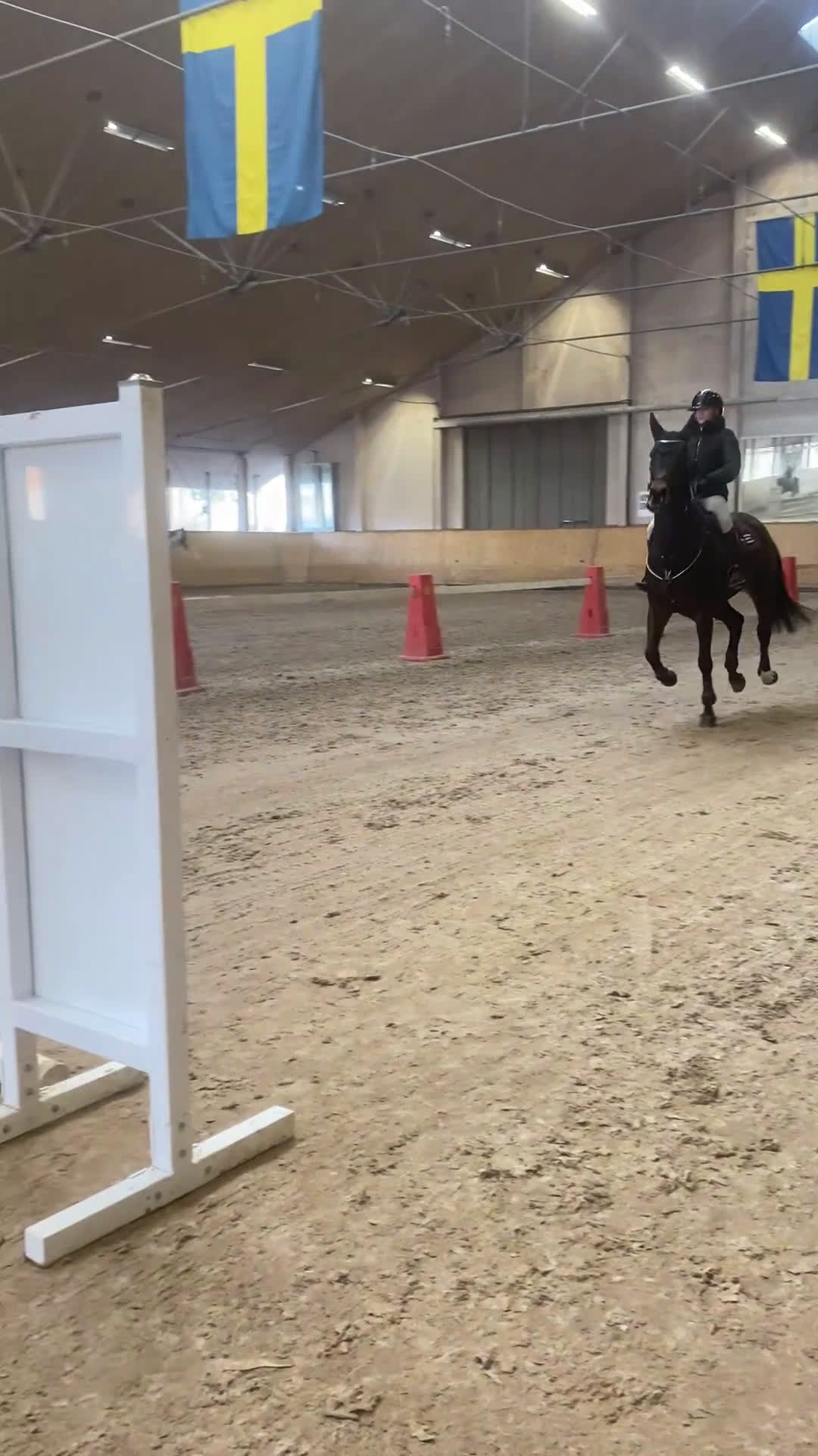 Hoppning hästar till salu: Rolig tävlingskompis i Södra Sandby - Video 1