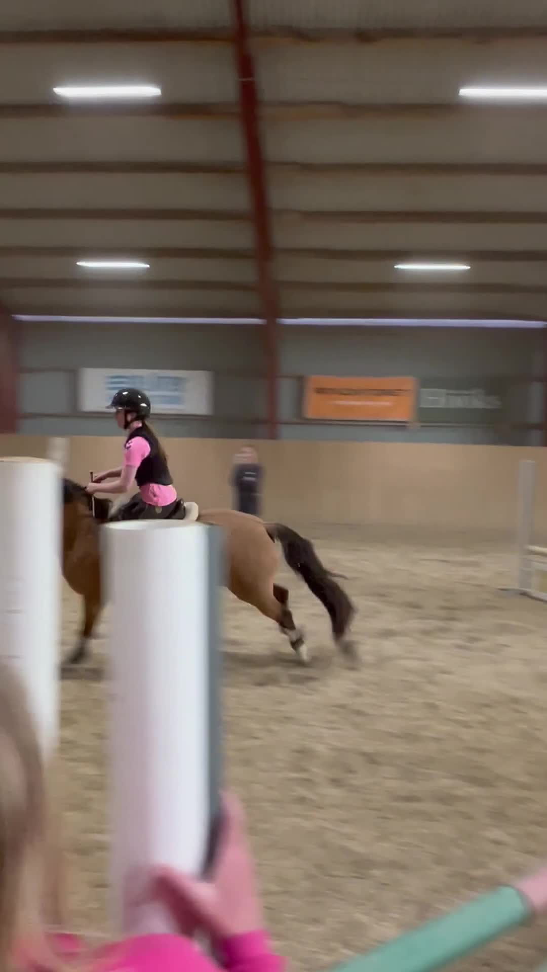 Allround hästar till salu: Ponny med stor potential - Video 2