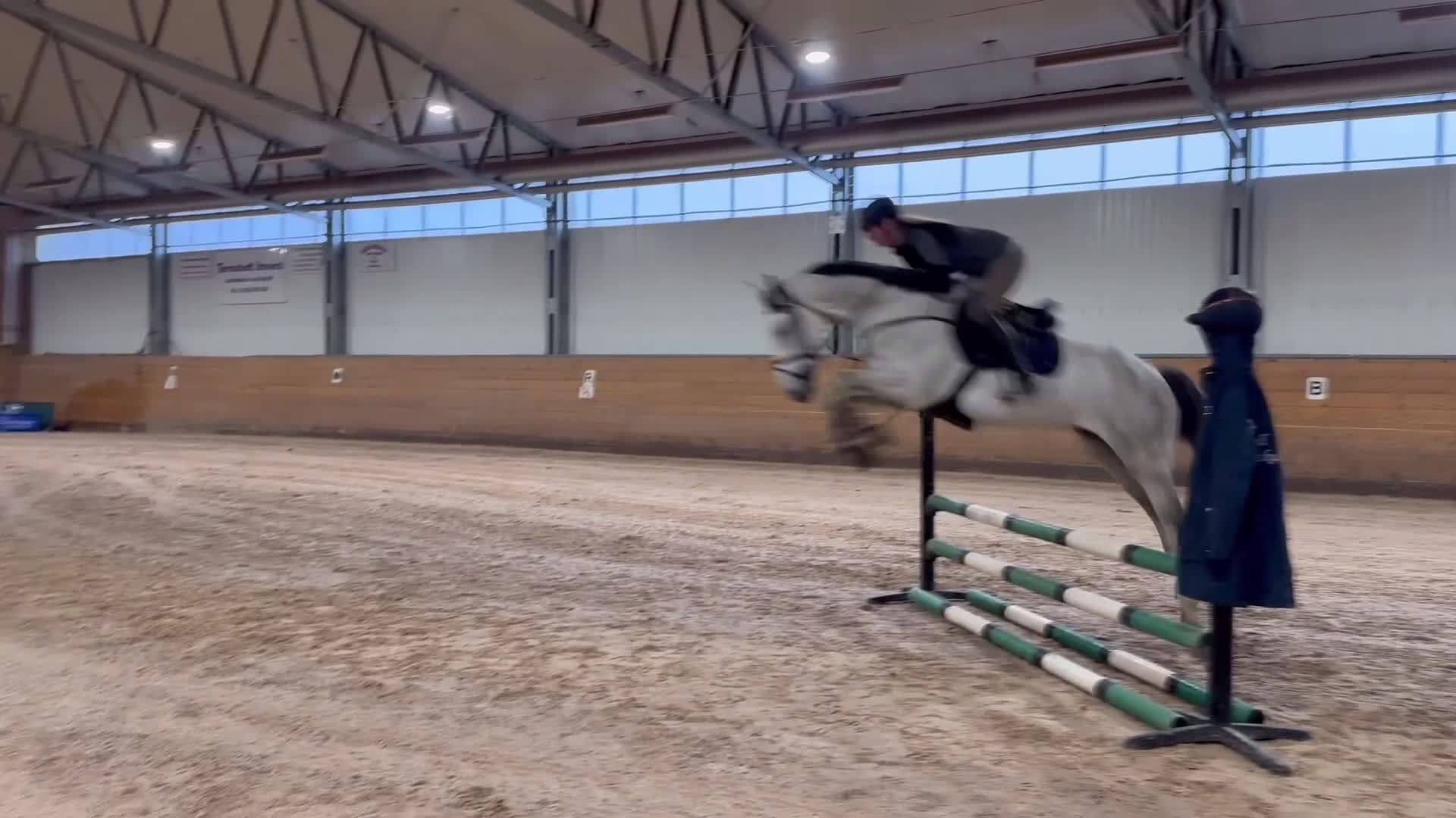 Hoppning hästar till salu: Trevlig valack  i Åtvidaberg - Video 2