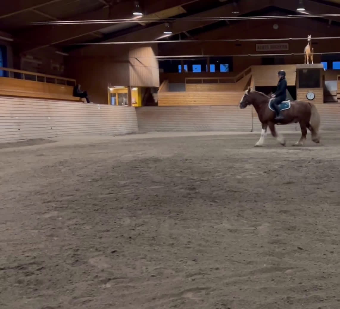 Allround hästar till salu: Intressekoll!! i Erikslund - Video 2