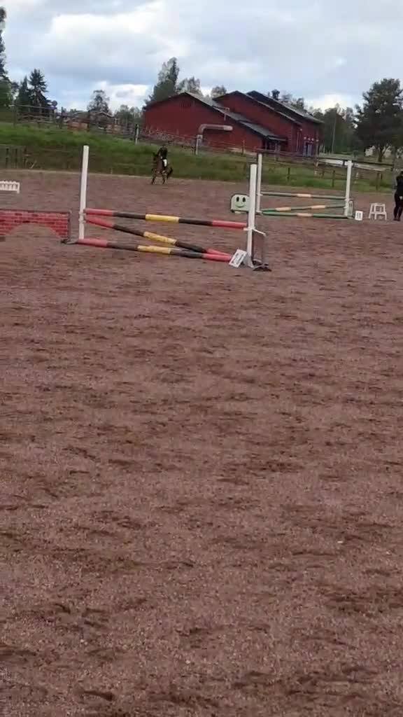 Allround hästar till salu: För den lilla tuffare ryttaren - Video 2