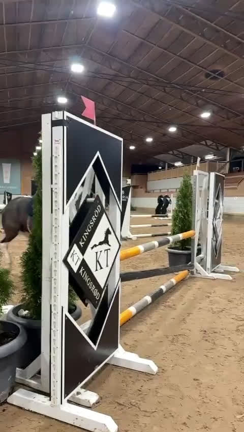 Hoppning hästar till salu: Stjärna till salu ⭐  i Kungsbacka - Video 3