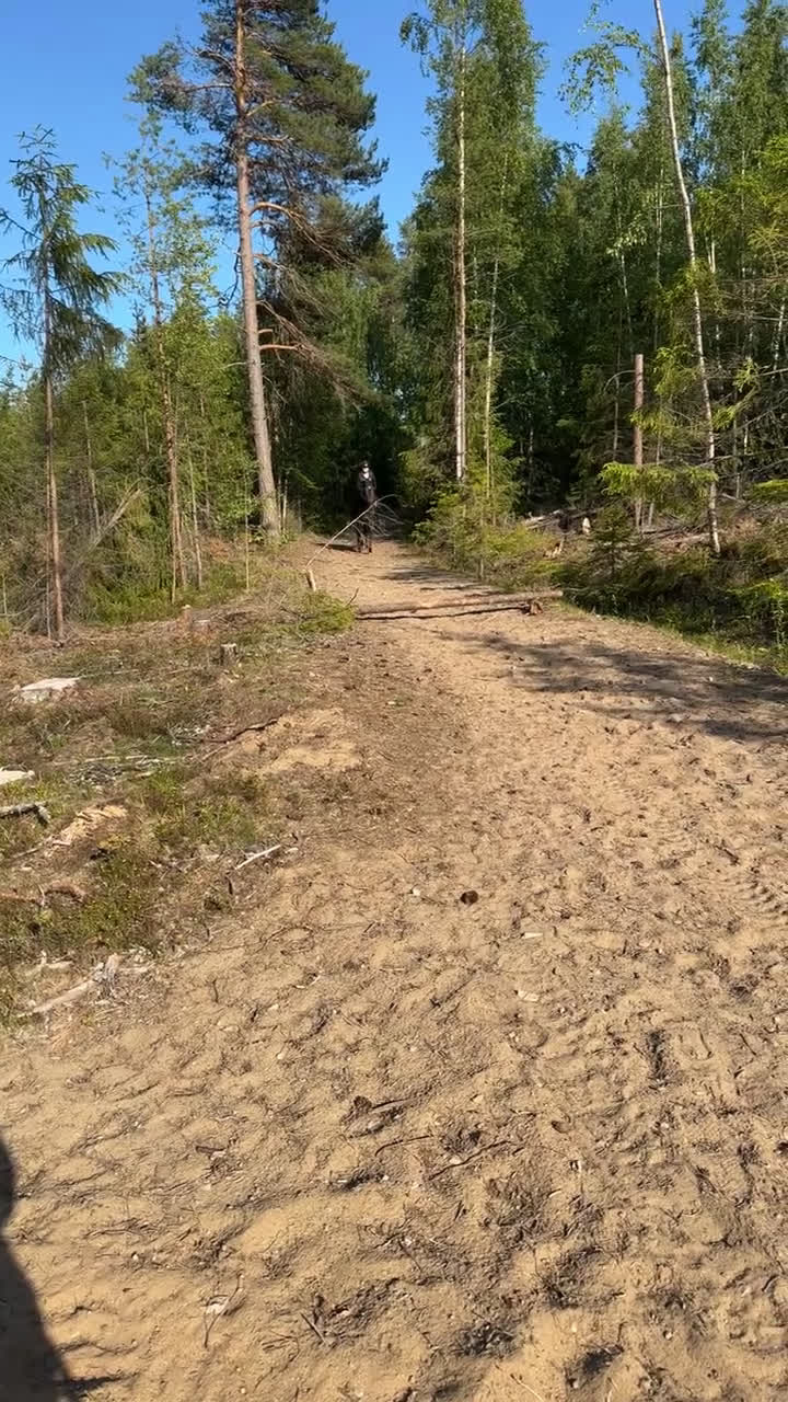 Allround hästar till salu: Fantastisk trygg bästa vän.  i Sundsbruk - Video 5