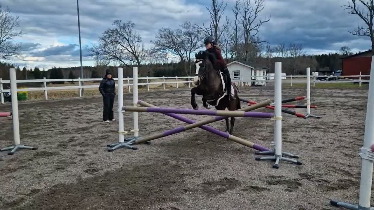 Allround hästar till salu: Ljuvligt sto för allround ❤️ - Video 2