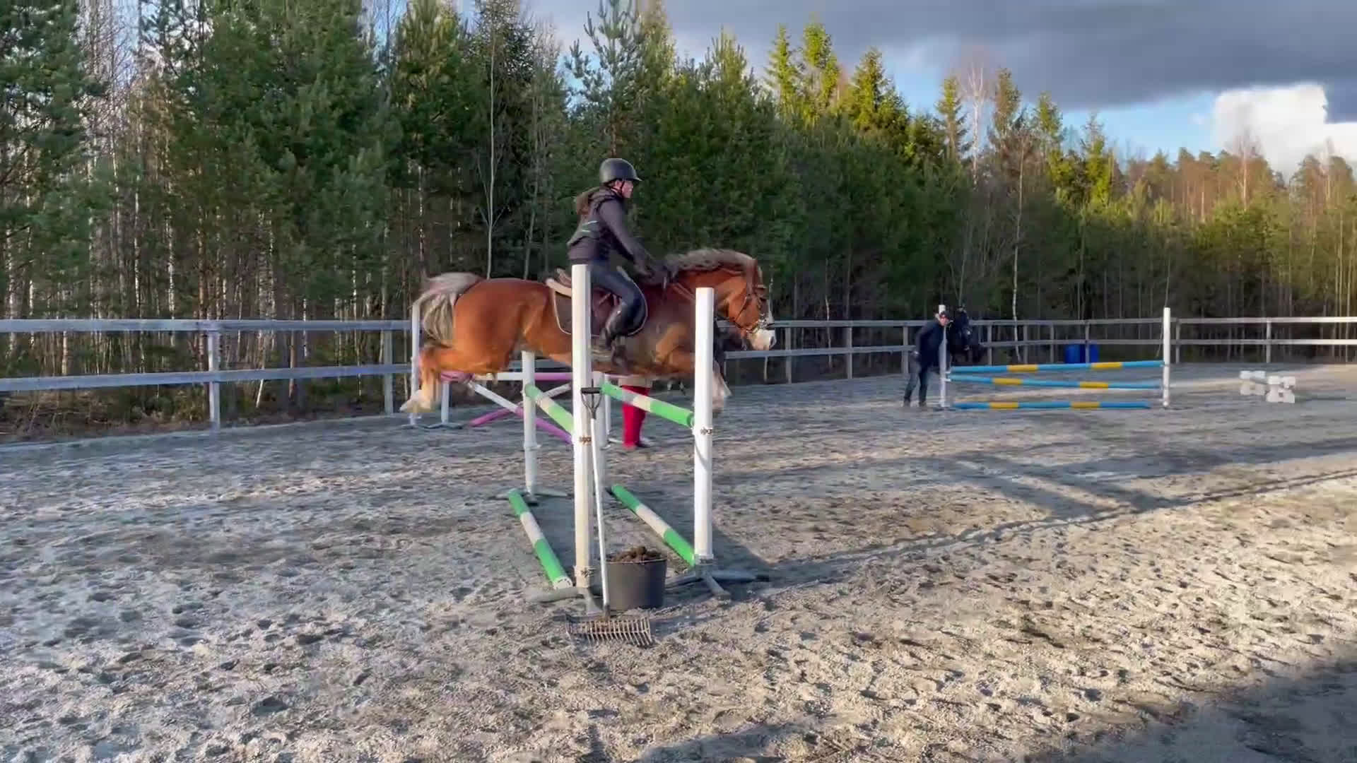 Hoppning hästar till salu: Talangfull hopponny, WE, även lite körd  i Kalvsvik - Video 1