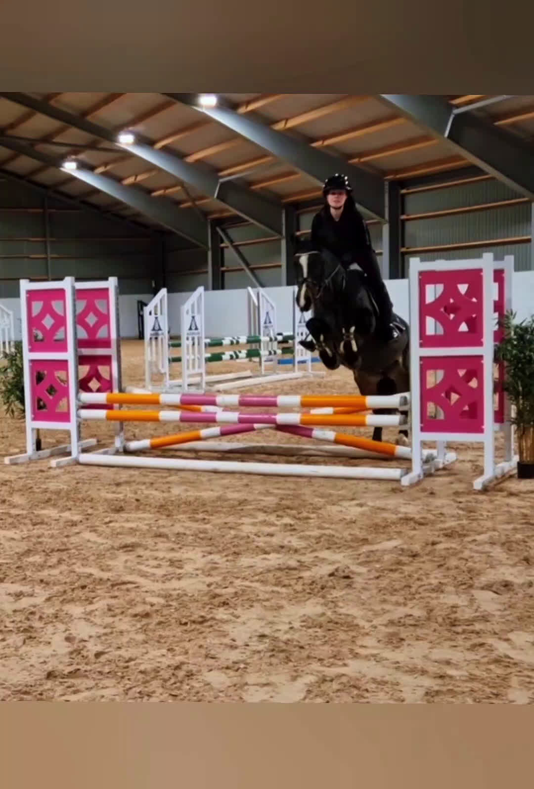 Allround hästar till salu: Superfint C-ponny sto  i Köping - Video 1