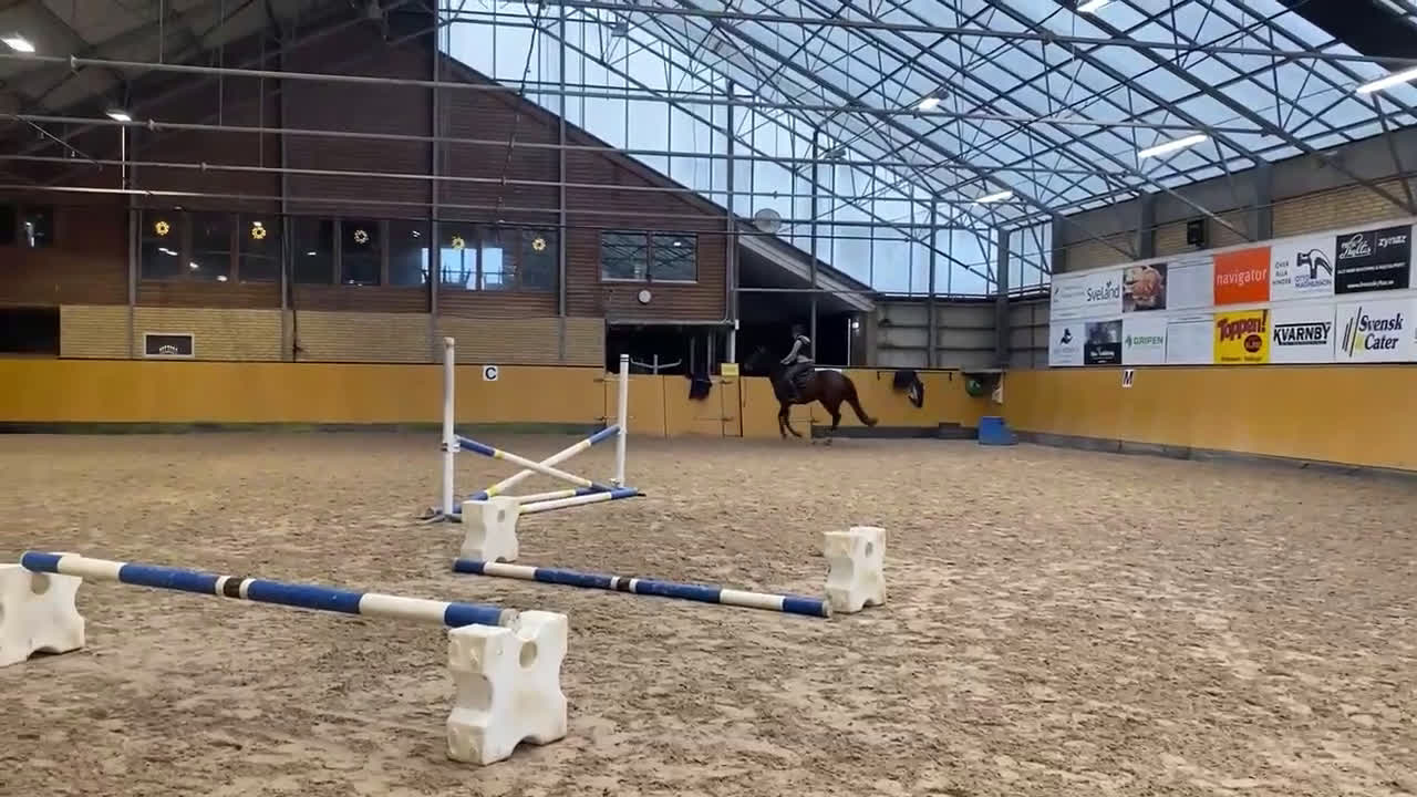 Allround hästar till salu: Positiv allroundhäst i Höllviken - Video 2