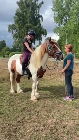 Allround hästar till salu: Charmtrollet Bombibitt, D-ponny  - Video 2