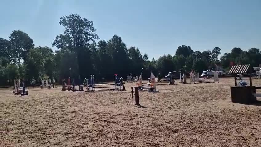 Hoppning hästar till salu: Trevlig tävlingsponny i Tranås - Video 1