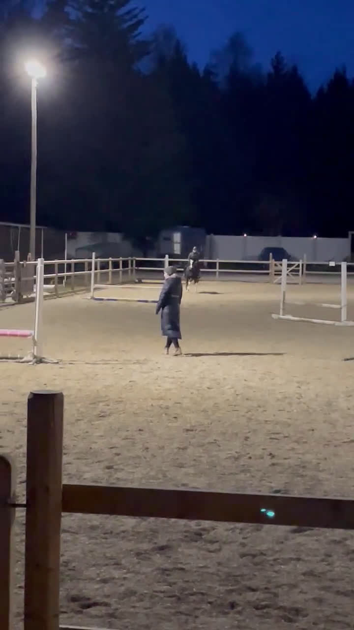 Allround hästar till salu: Talangfull och vacker i Storvreta - Video 2