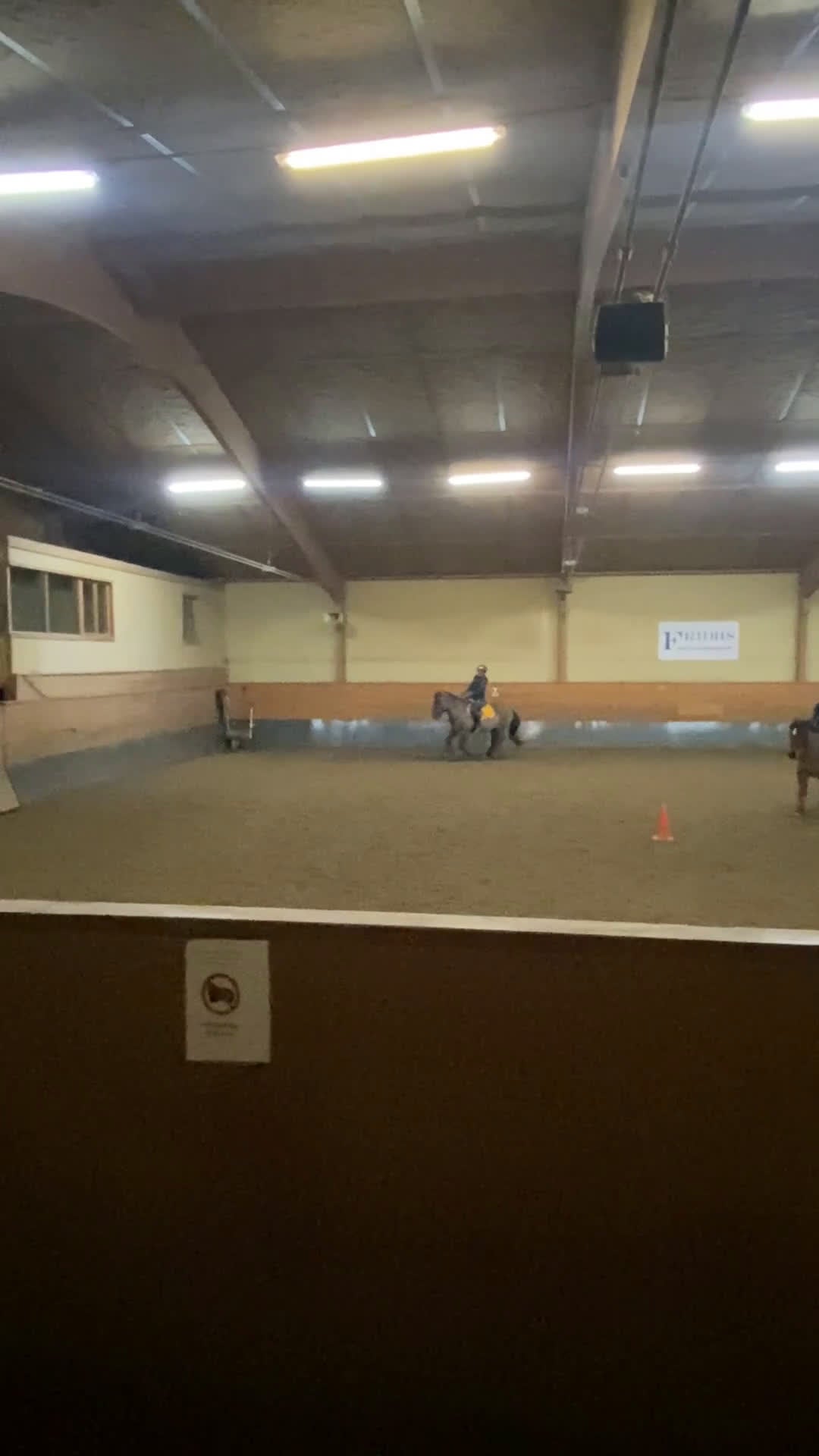  medryttarhäst sökes: Letar efter medryttarhäst! - Video 1