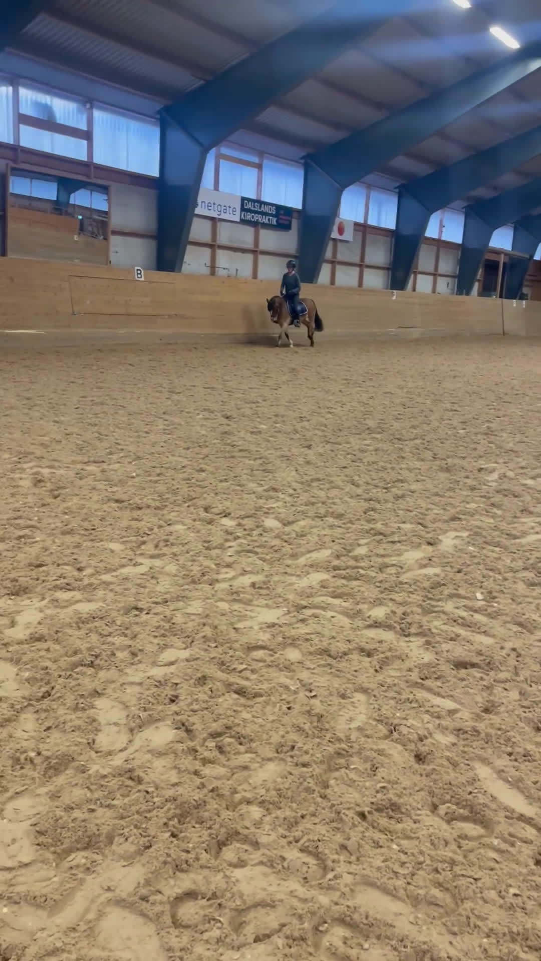 Hoppning hästar till salu: Fantastisk b-ponny för den modiga lilla ryttaren ✨ - Video 1