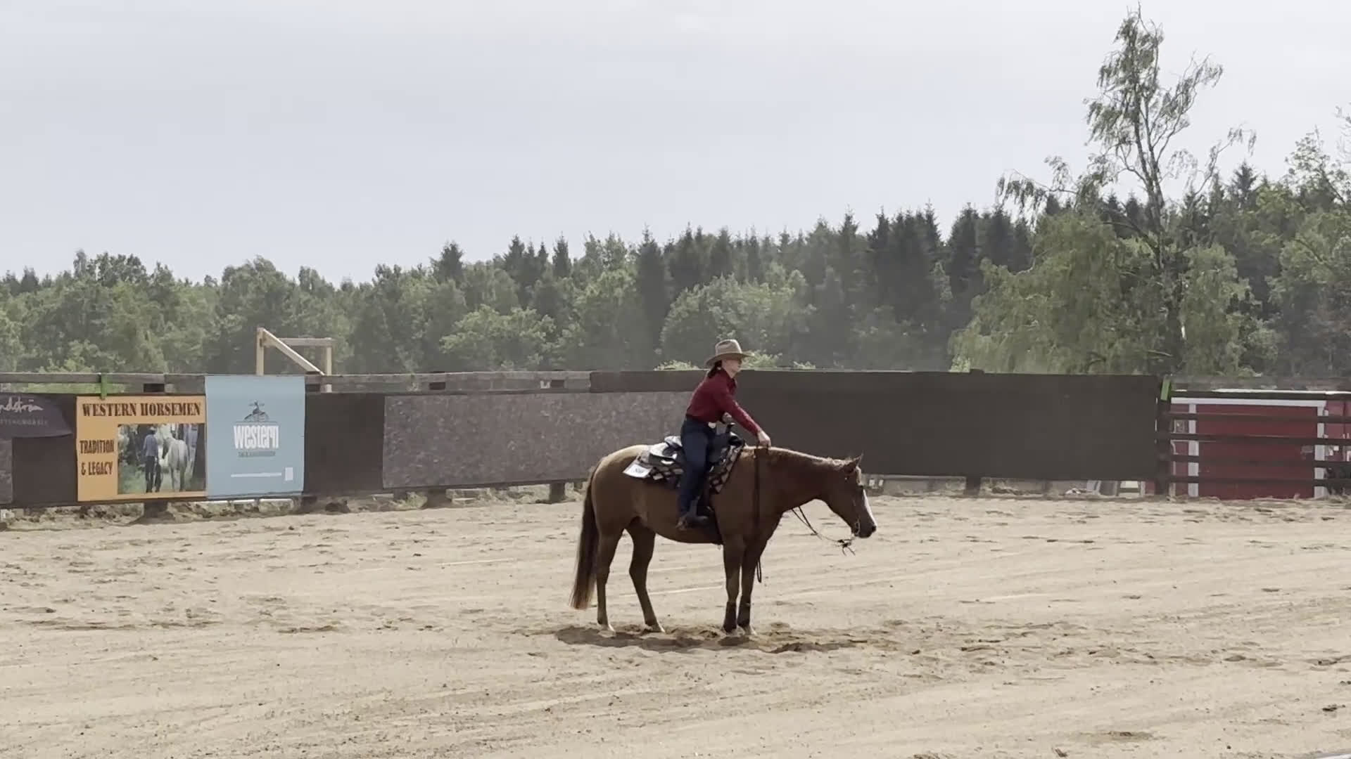 Western hästar till salu: 💎Charmig och välriden tävlingshäst 💎 i Varberg - Video 1