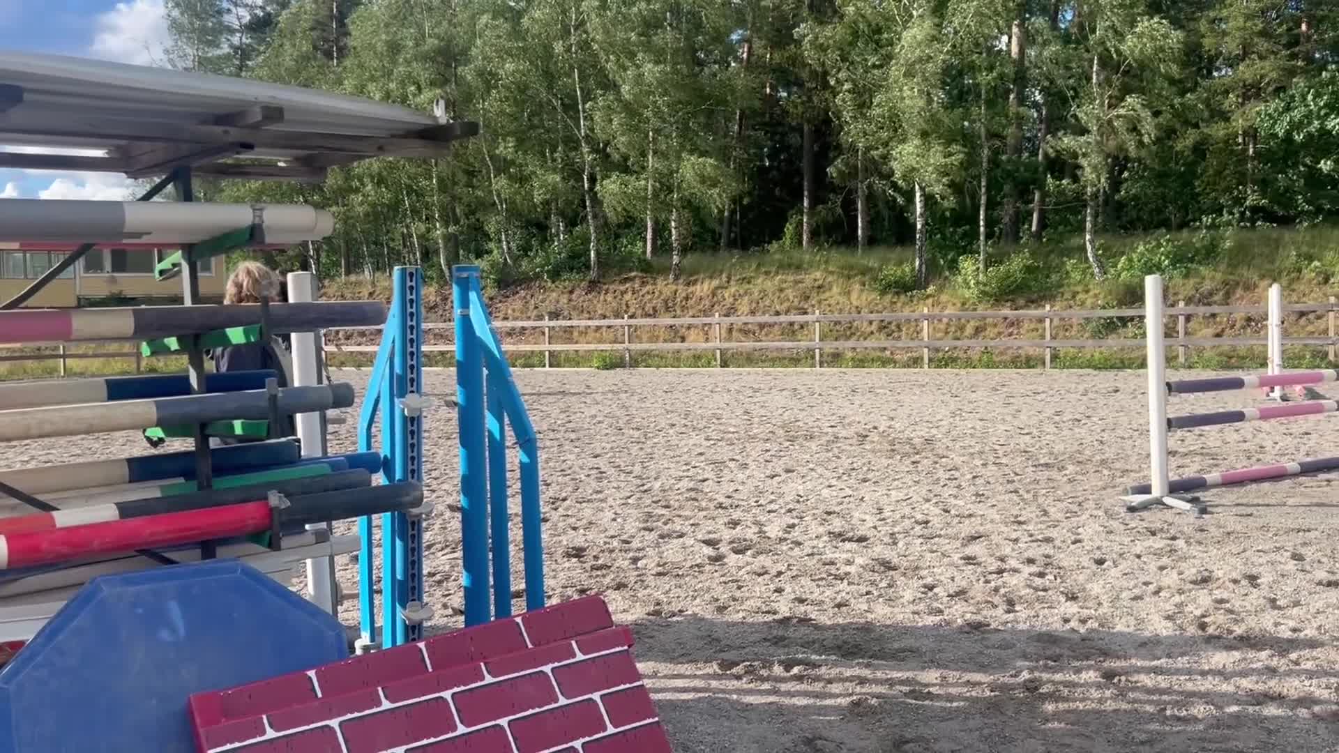 Hoppning hästar till salu: Tävlingshäst med kapacitet för stora klasser! - Video 1