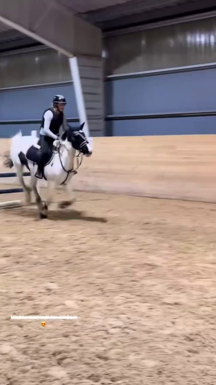 Allround hästar till salu: Din egen prinsessa ❤️ - Video 4