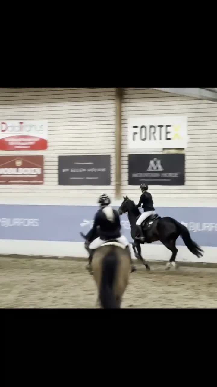 Hoppning hästar till salu: Trevligt hoppsto – Vinst i DM (115) och felfri 120 - Video 3