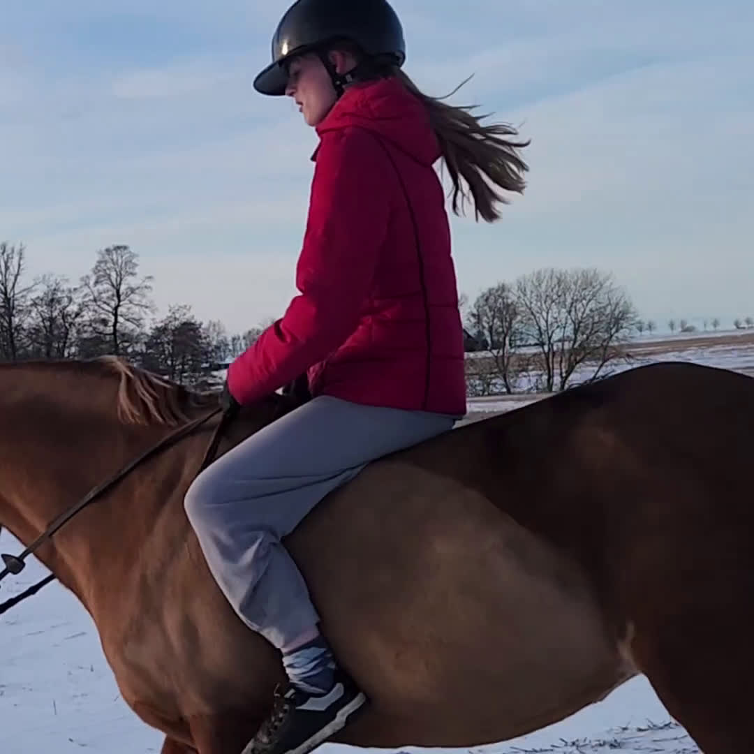 Allround hästar till salu: Snäll o go ponny vill ha en bästa vän.  - Video 3