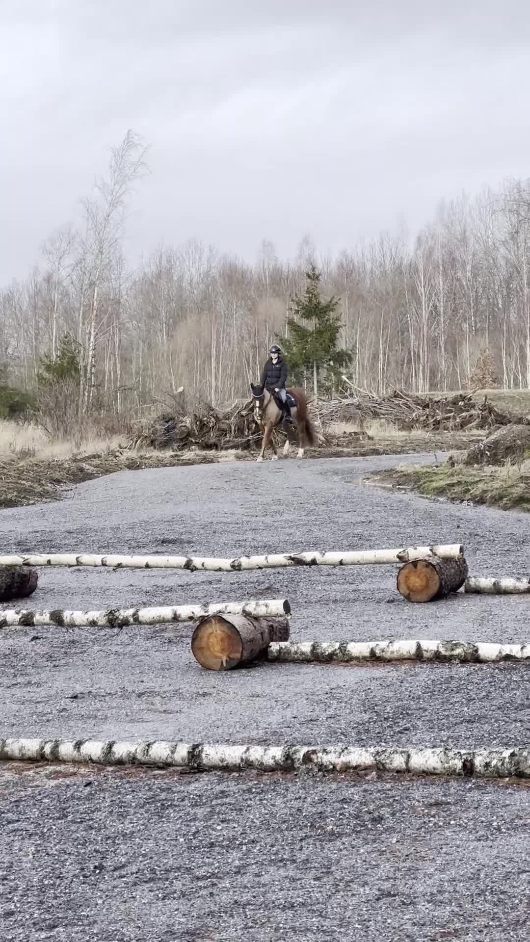 Allround hästar till salu: Snäll och trygg C-ponny "Reserverad" - Video 2