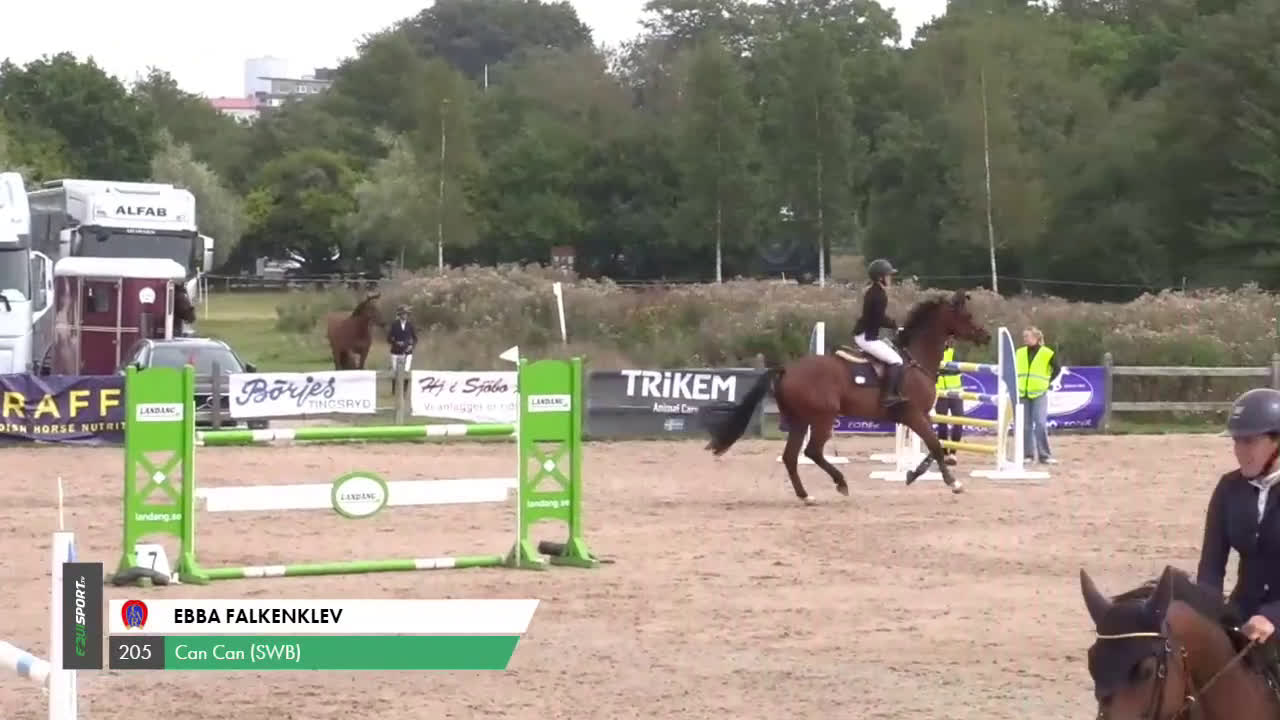 Hoppning hästar till salu: Lovande 6 åring e. Casallco i Hörby - Video 2