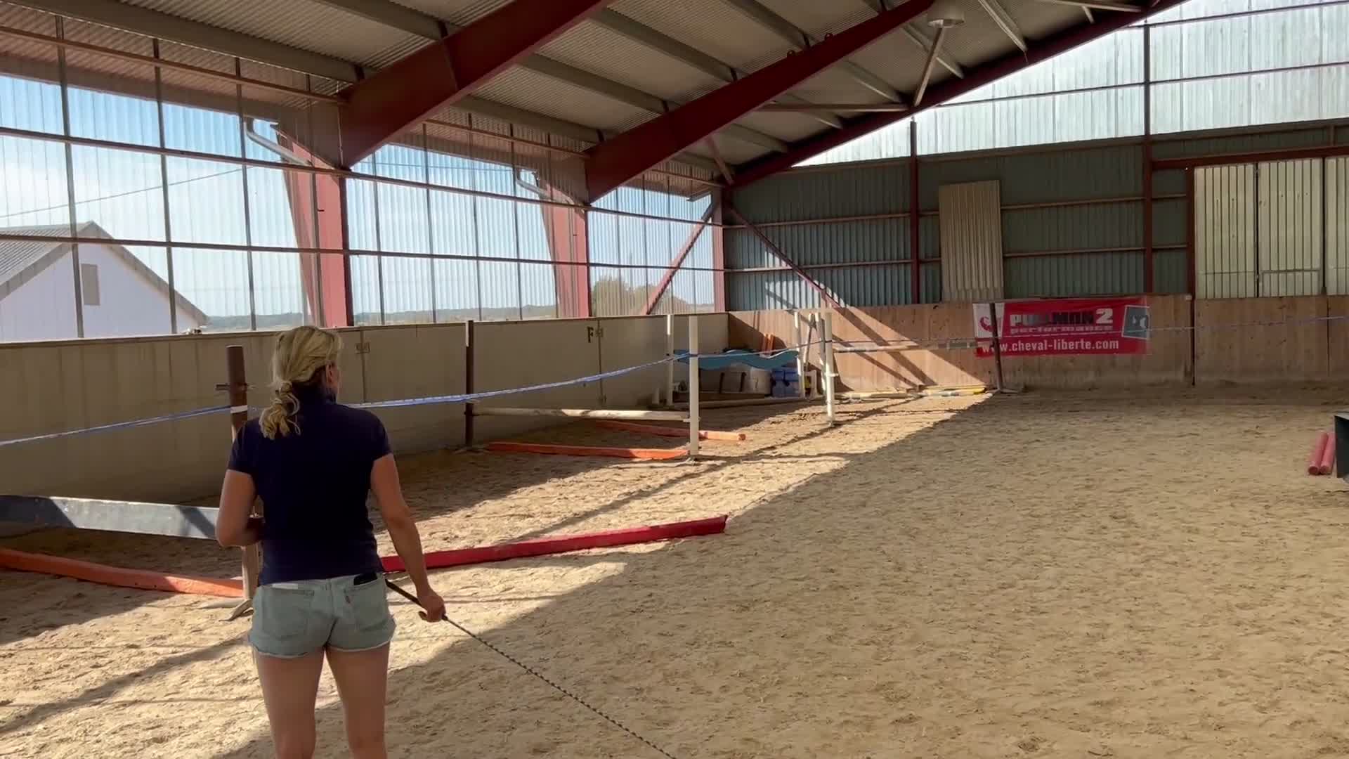 Hoppning hästar till salu: Trevlig 3 årig - Video 1