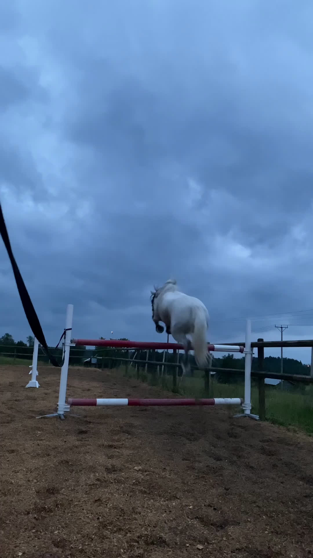 Allround hästar till salu: Charmig valack - en framtida 🌟+film!!  i Brunflo - Video 1