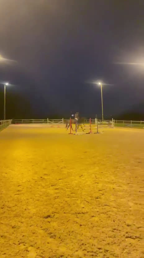 Allround hästar till salu: Fin sporthäst. i Lövestad - Video 4