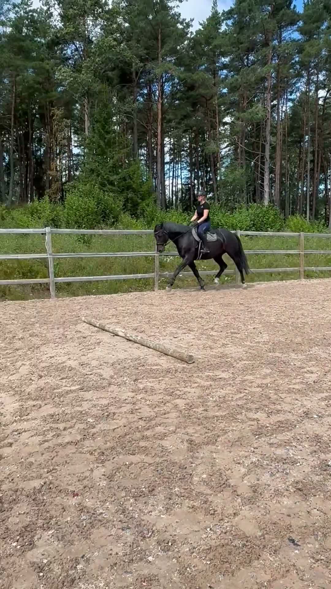  hästjobb finnes: Hästjobb sökes i Saltsjö-boo - Video 2