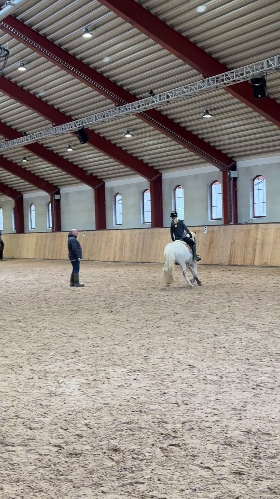 Hoppning hästar till salu: Talangfull drömponny! - Video 4