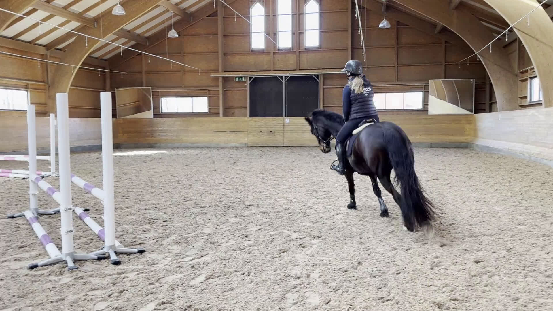 Dressyr hästar till salu: Dressyrponny med utstrålning - Video 2