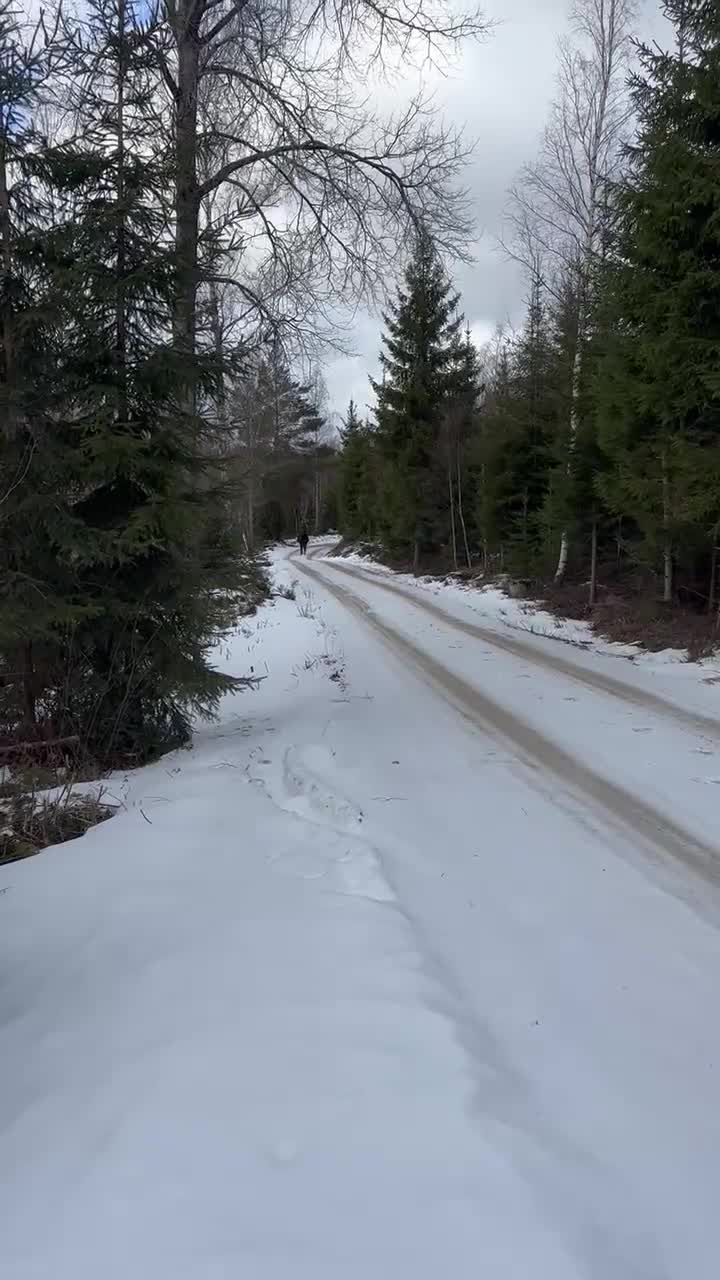 Övrigt hästar till salu: Beauty and Amazing  i Eringsboda - Video 1